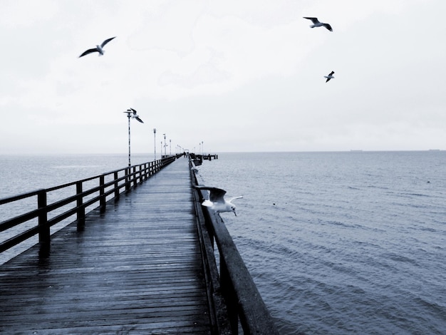 Premium Photo | Pier on sea against sky